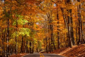 Coopers Rock State Park in West Virginia