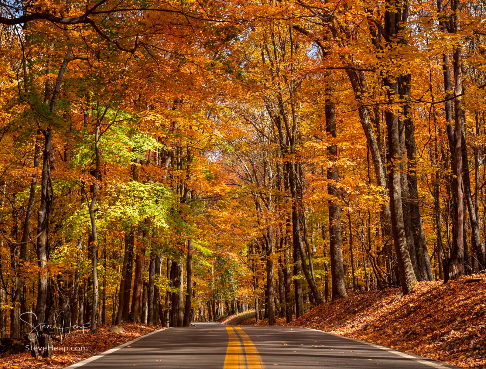 Coopers Rock State Park in West Virginia