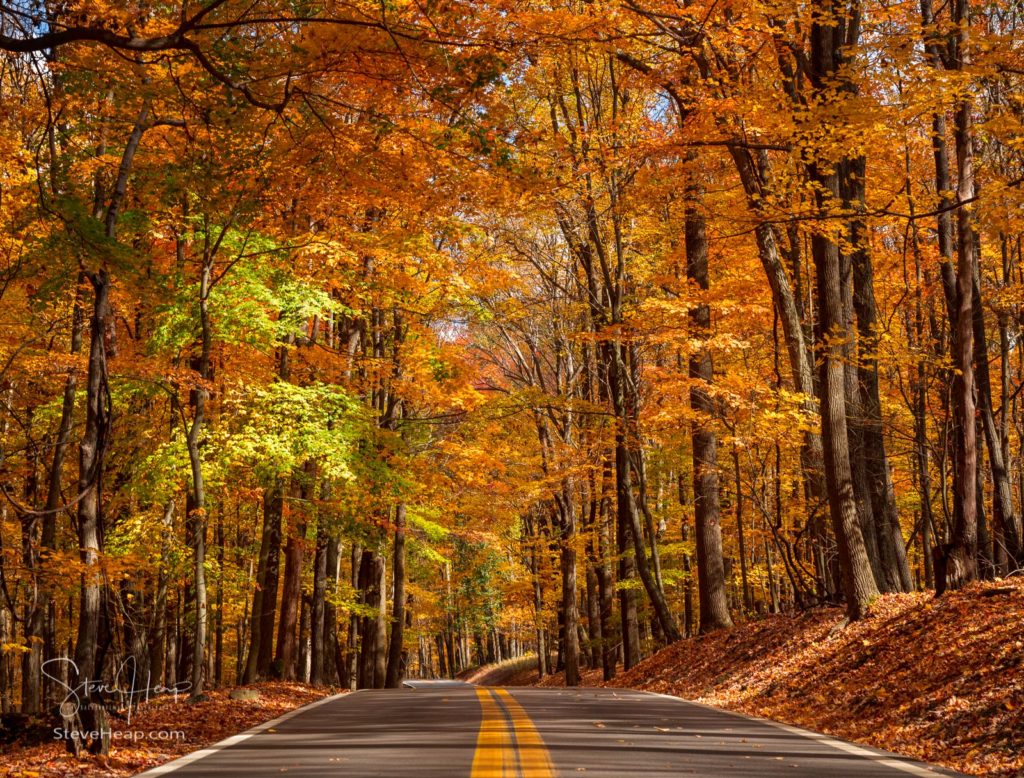 Wall art of the road to Coopers Rock state park outside Morgantown WV