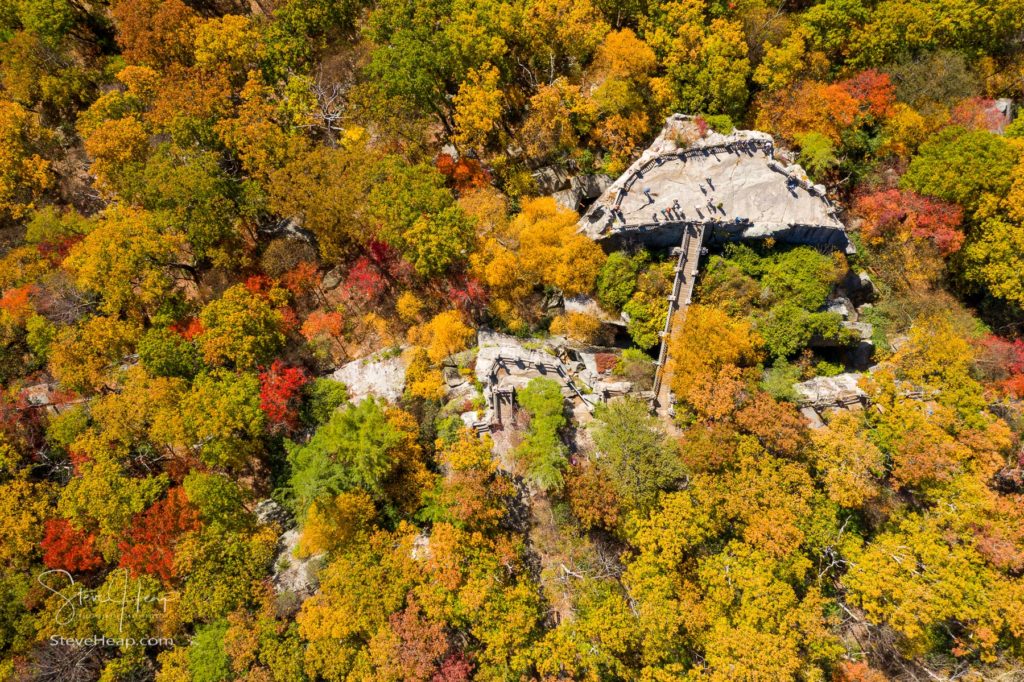 Wall art of the Coopers Rock state park overlook near Morgantown WV