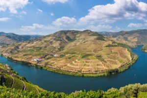 Cruising the Douro Valley