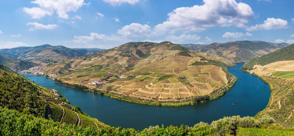 Terraces of grape vines for port wine production line the hillsides of the Douro valley in Portugal. Prints available in my store