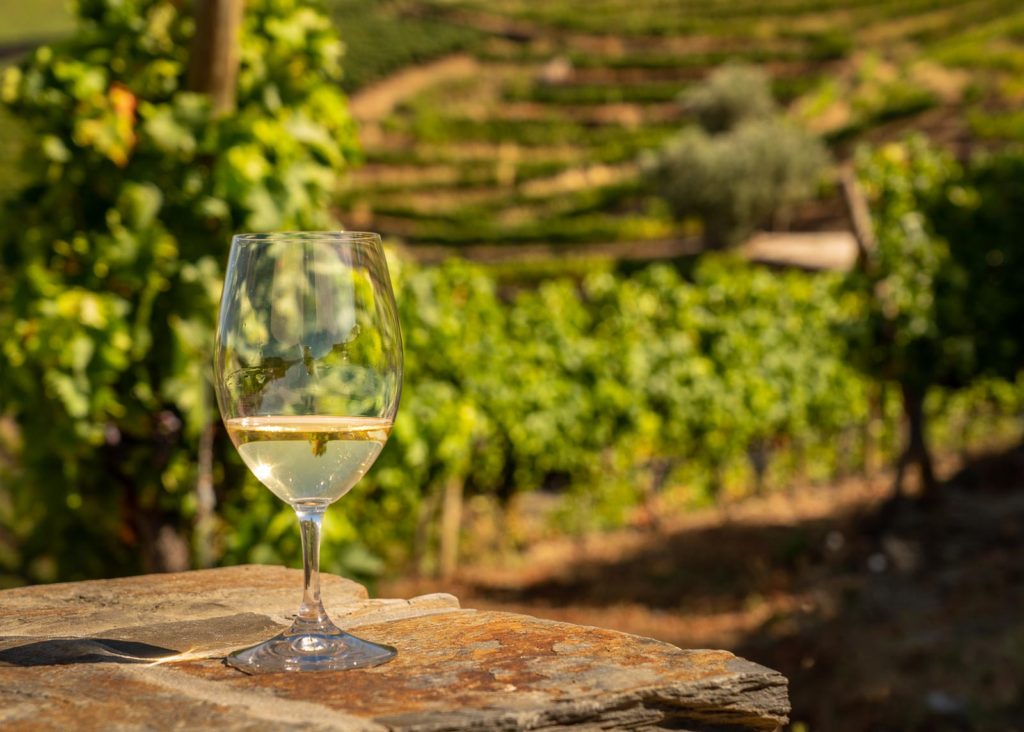 Glass of white wine for tasting above the hillsides of the Douro valley in Portugal. Prints available in my store with free shipping