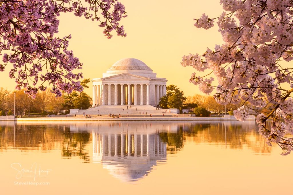 Sun rising illuminates the Jefferson Memorial and Tidal Basin with bright pink cherry blossoms framing the monument. Prints available in my store