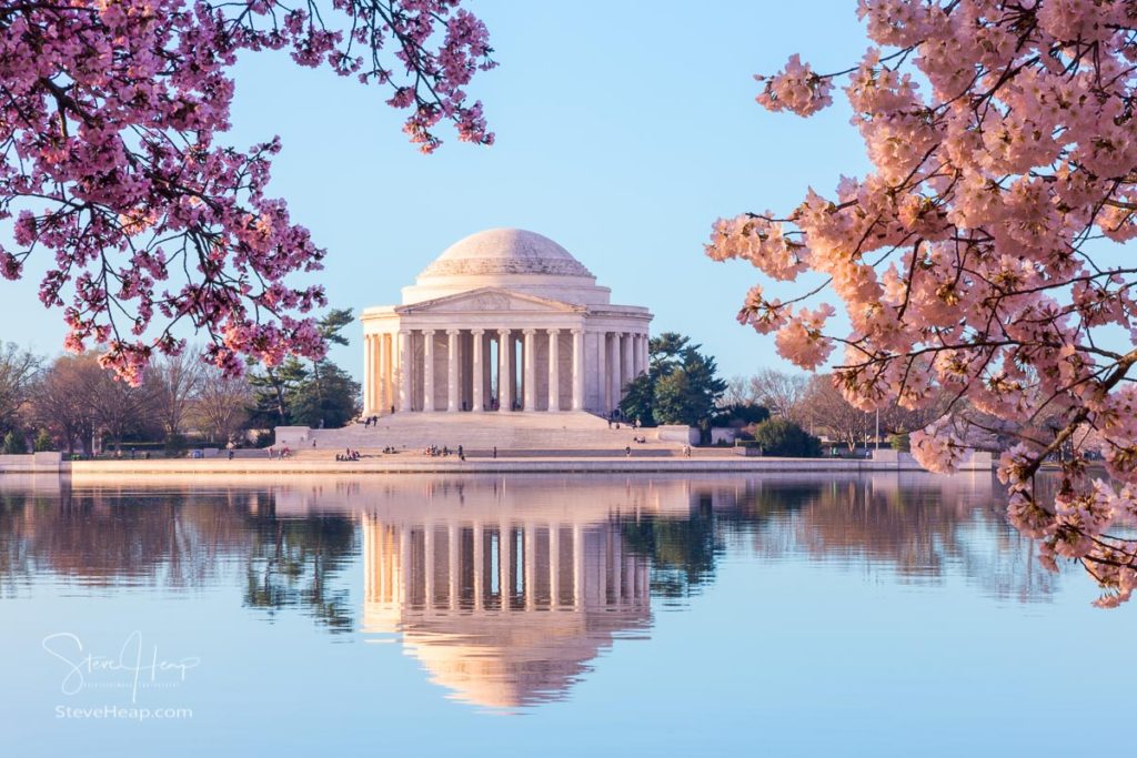 Sun rising illuminates the Jefferson Memorial and Tidal Basin with bright pink cherry blossoms framing the monument. Prints available in my store