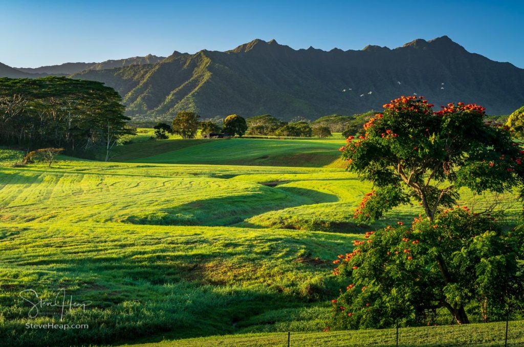 Flowering trees frame view of the Na Pali mountains over fairy tale landscape of Kauai. Prints available here with free shipping