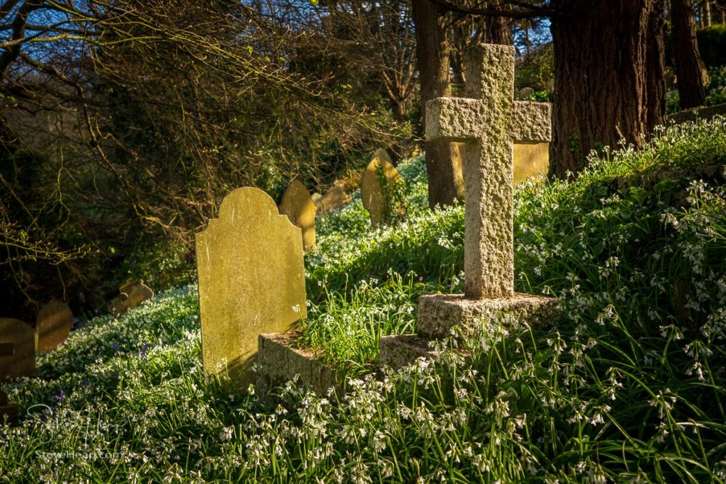 Headstones on the hillside among white bluebells at the little parish church of St Just in Roseland Cornwall. Prints available in my store
