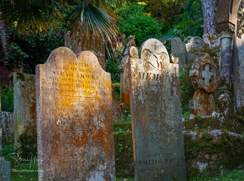 Headstones on the hillside lit by the sun at the little parish church of St Just in Roseland Cornwall