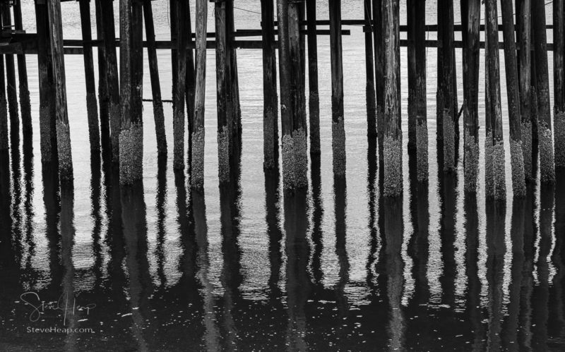 Monochrome view of the wooden pilings of pier in the cold ocean at Icy Strait Point in Alaska on cloudy day