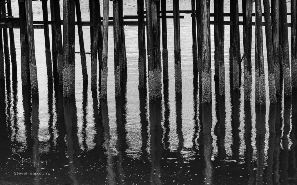 Monochrome view of the wooden pilings of pier in the cold ocean at Icy Strait Point in Alaska on cloudy day. Prints in my online store