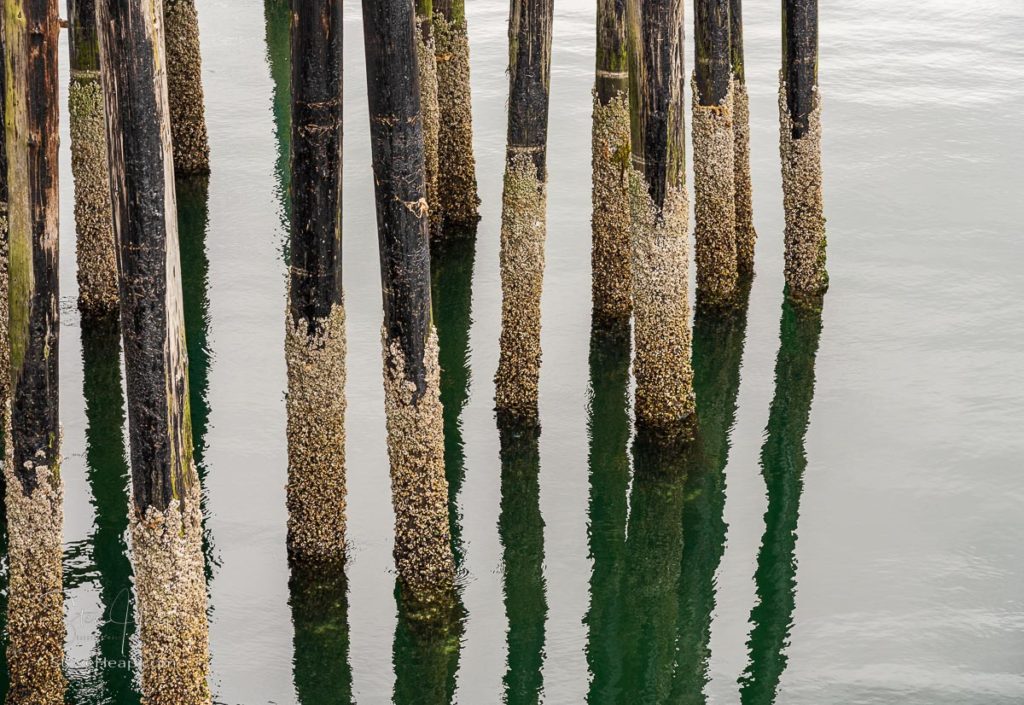 Reflection of the wooden pilings of pier in the cold ocean at Icy Strait Point in Alaska on cloudy day. Prints available in my online store