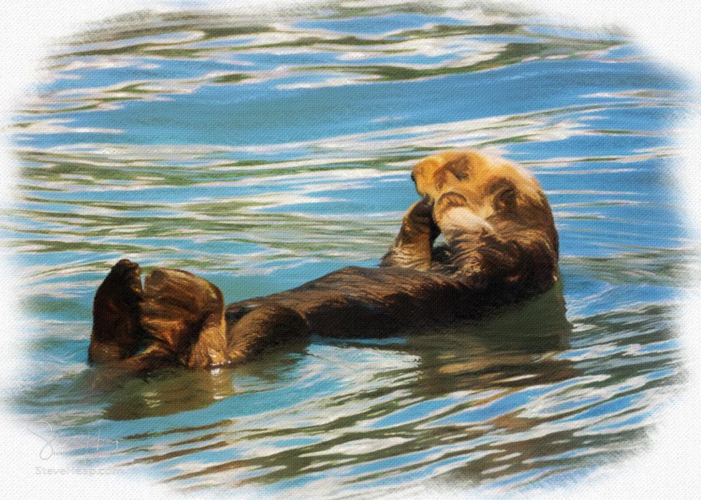 Pastel drawing of a fur covered sea otter floating in the icy water of Resurrection Bay near Seward in Alaska