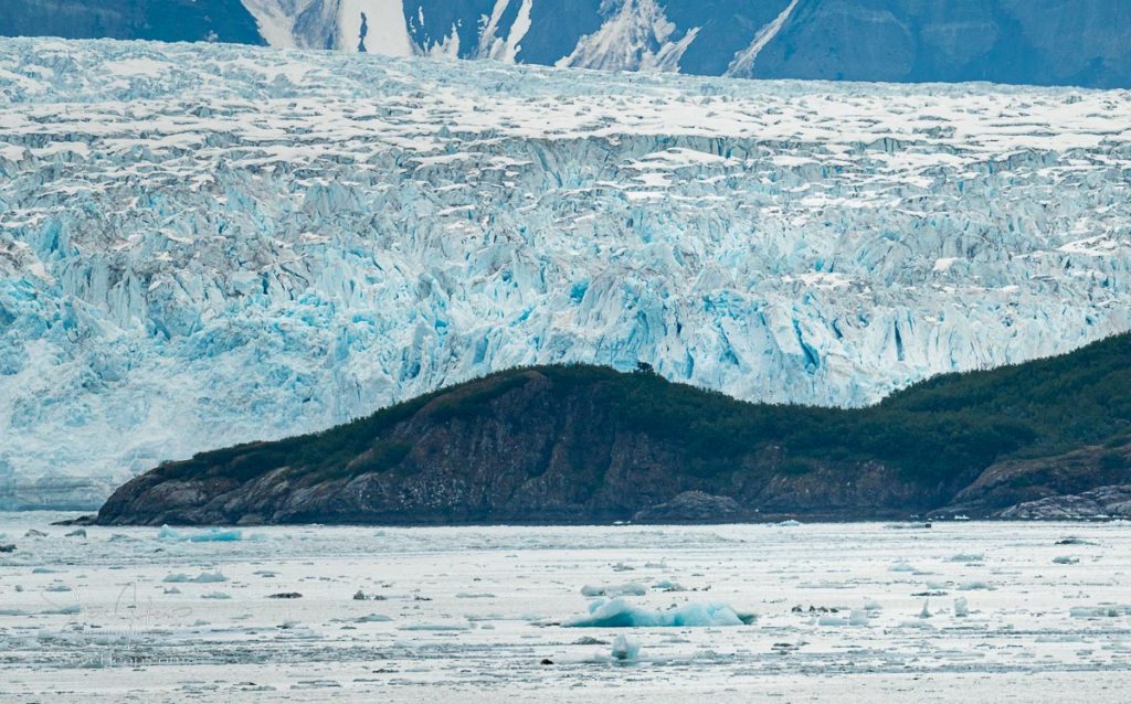 Close up of crevasses on the Hubbard Glacier with trees to give scale on the Alaskan coast south of Valdez