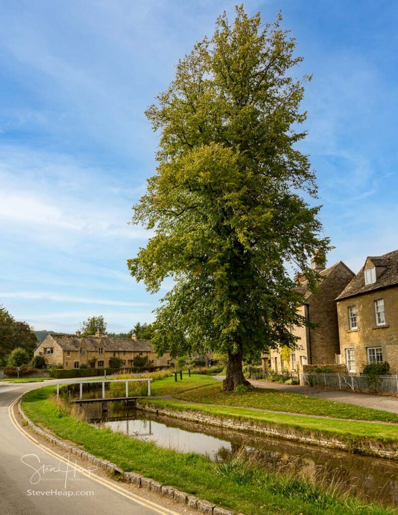 Lower Slaughter with river with magnificent tree in the main street. Prints available in my store