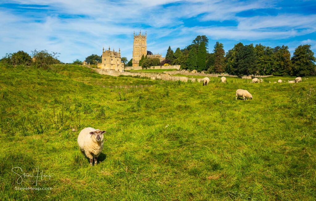 St James Church seen across meadow with sheep in the old Cotswold town of Chipping Campden. Prints available in my online store