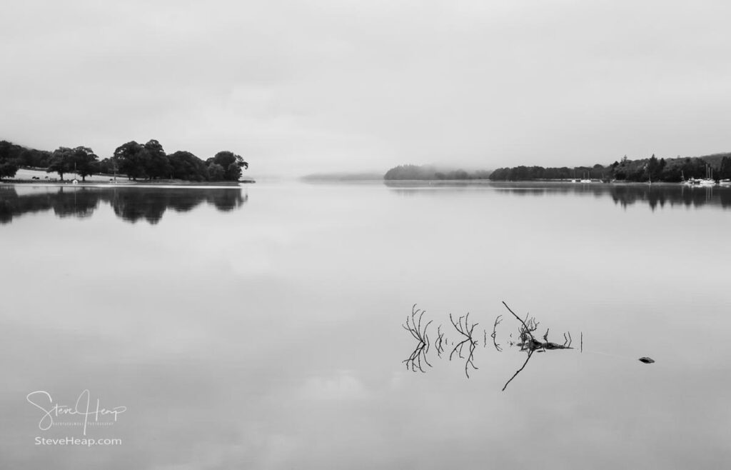Black and white rendition of the reflection of branch in still waters of Coniston Water in Lake District. Prints in my store