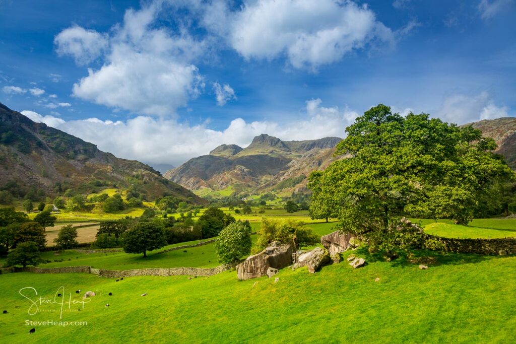 Sun illuminating the meadows and fields in front of Langdale Pikes in English Lake District. Prints in my store