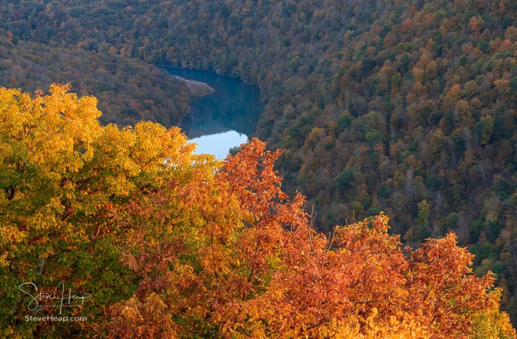 Setting sun sheds warm light illuminating the fall colors of the trees in Coopers Rock State Forest