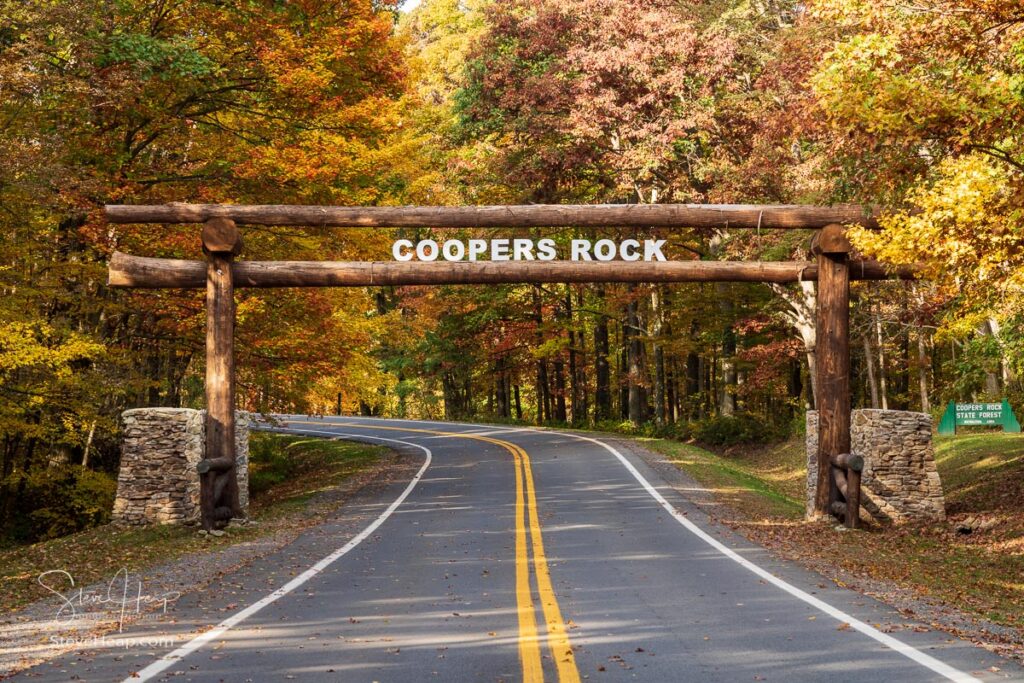New wood tree trunk entrance sign over the road to Coopers Rock State Forest