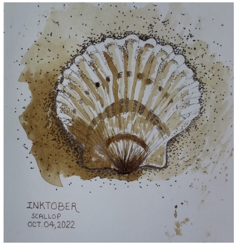 Inktober drawing of a scallop shell on the beach by Jo Wortman