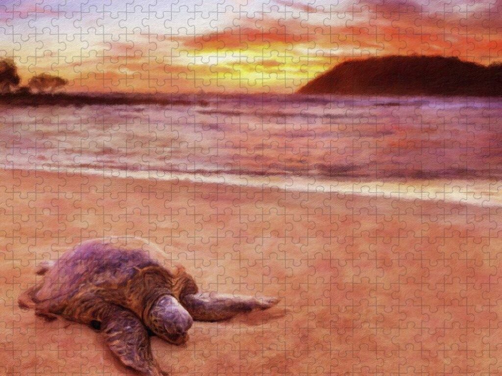 Turtle on Moloa'a Beach on the Hawaiian island of Kauai as digital art. Puzzle available here