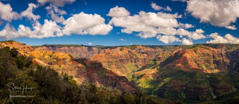 Broad panorama of the red rocks of Waimea canyon from the Iliau Nature trail on Kauai in Hawaii