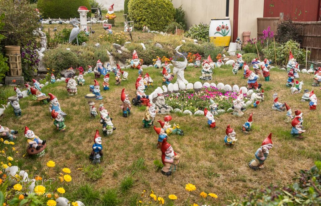 Gnome Garden in Stanley, Falkland Islands