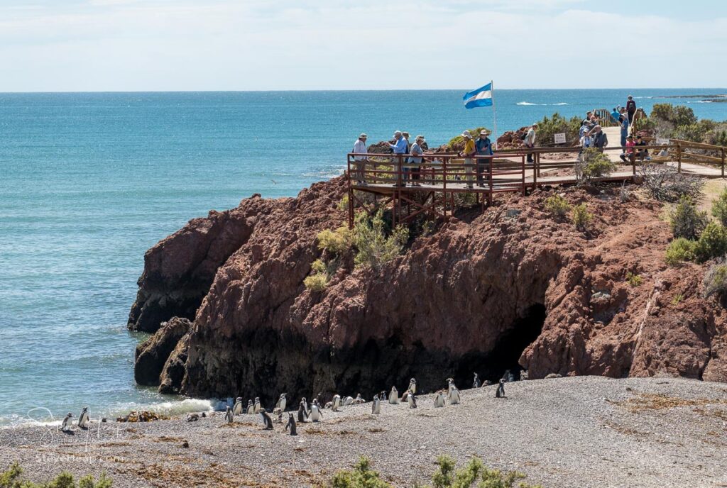 Viewing gallery by the rocky beach at Punta Tombo Nature Reserve