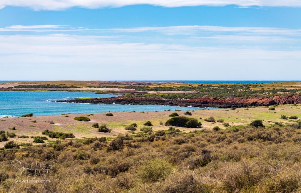 Punta Tombo nature reserve and coastline