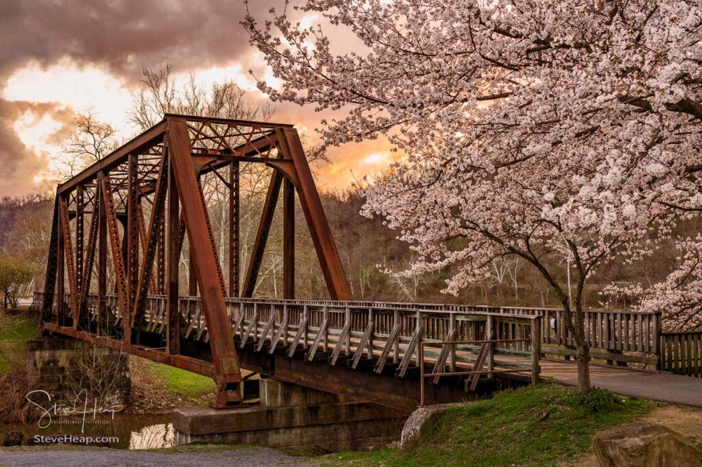 Old steel girder bridge carrying walking and cycling trail in Morgantown WV over Deckers Creek with cherry blossoms. Prints in my store