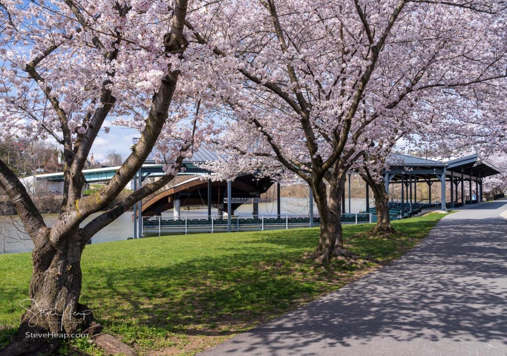 Ruby Amphitheater by the walking and cycling trail in Morgantown West Virginia with cherry blossoms. Prints in my online store