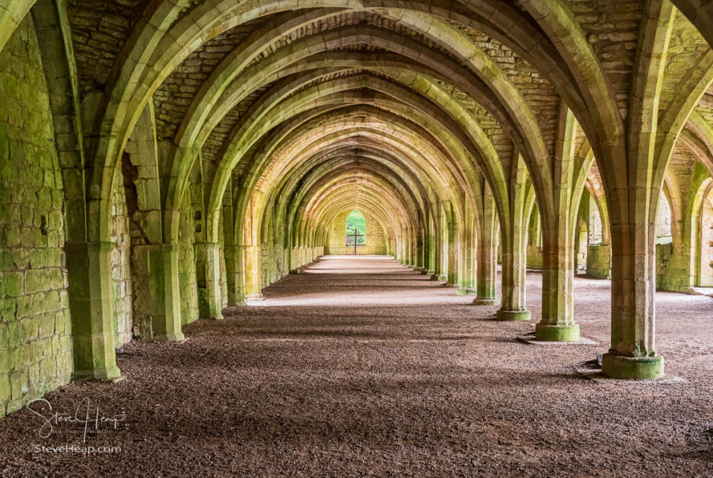 Detail of the cellareum vaulted ceiling of Fountains Abbey in Yorkshire, United Kingdom. USA Prints - UK Prints