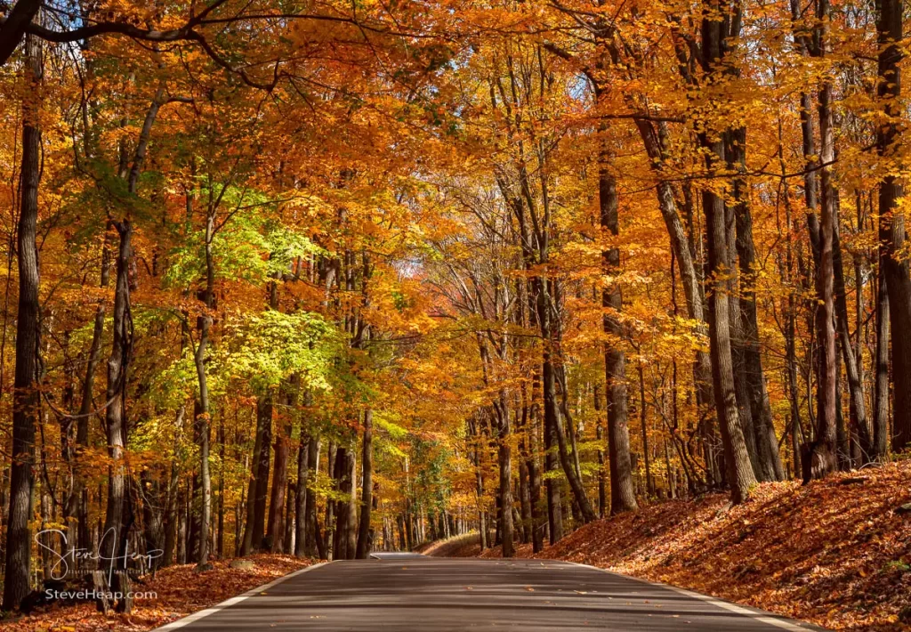 The road to Coopers Rock Overlook near Morgantown in the fall. Prints available in my Pictorem store