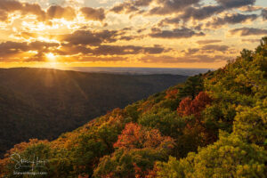 Coopers Rock State Forest near Morgantown