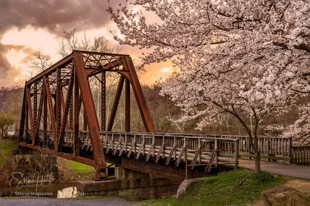 Old railway bridge over Deckers Creek, Morgantown at Cherry blossom time. Prints in my Pictorem store