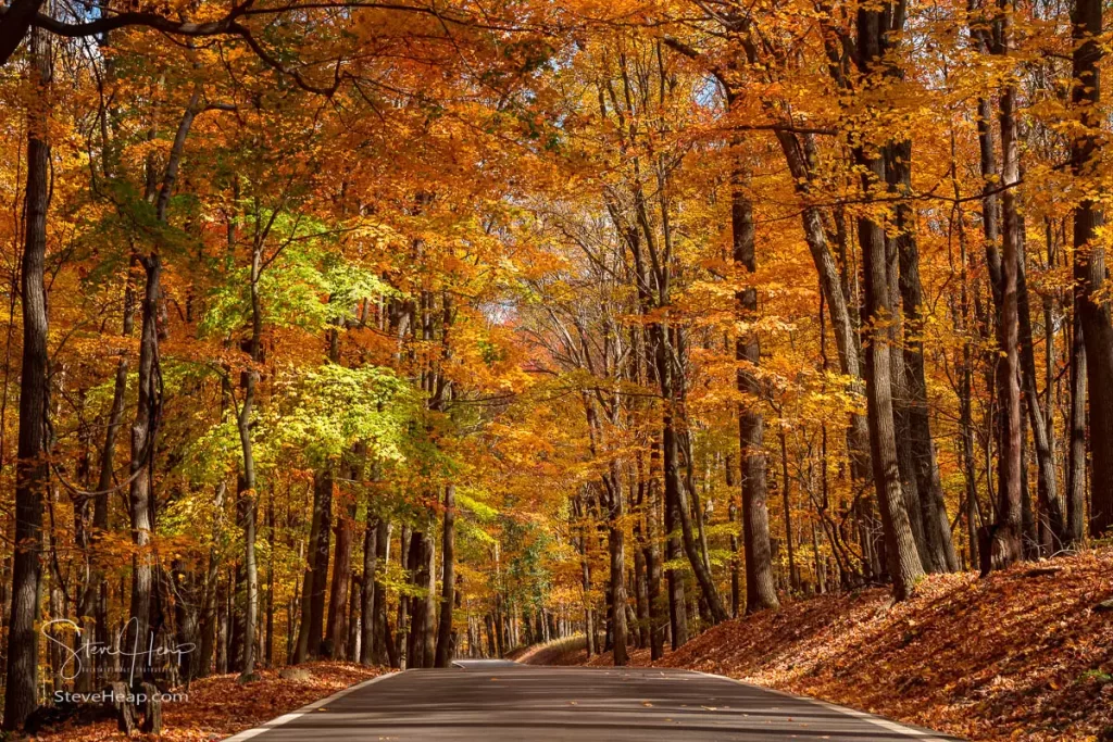 The road to Coopers Rock in the fall. Prints available from Pictorem and Fine Art America