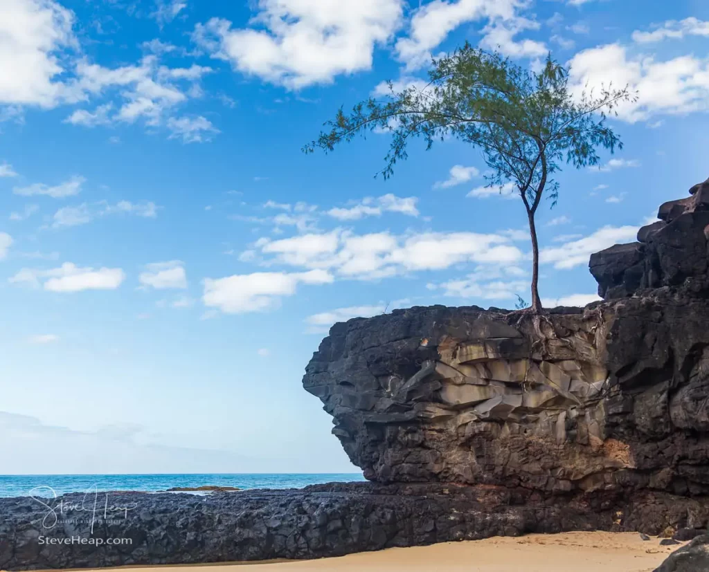 The lone sentinel! A tree that has been hanging on to that solid rock cliff for what must be years!