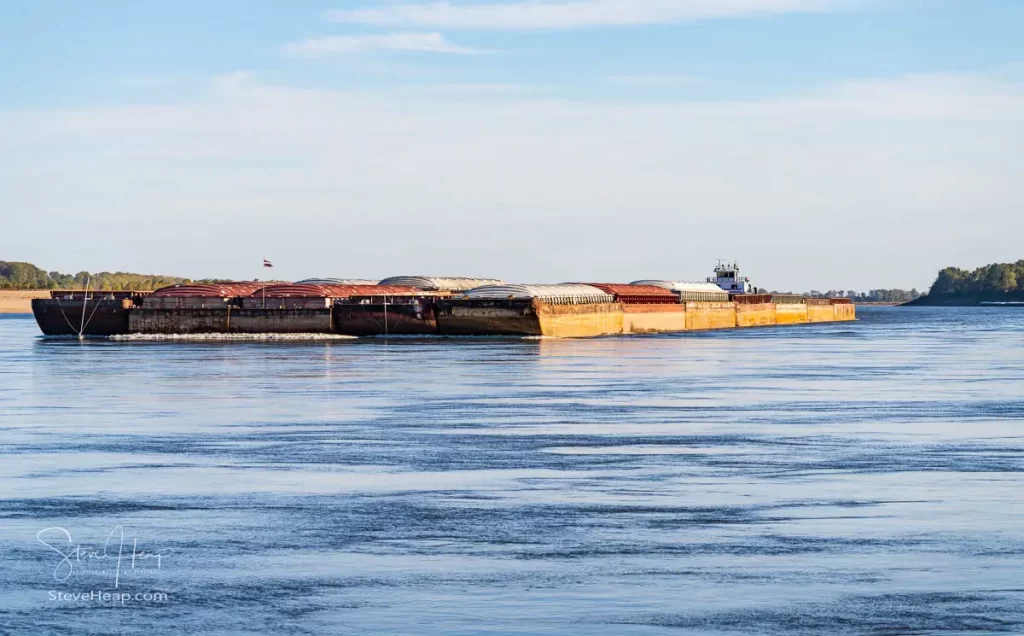 Large group of river barges filled with grain moving upstream on the Mississippi River.