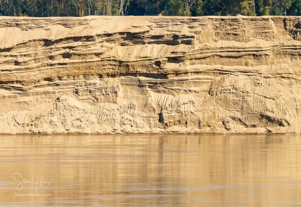 Erosion into the sandy banks of the lower Mississippi River south of Cairo. Prints available in my online store