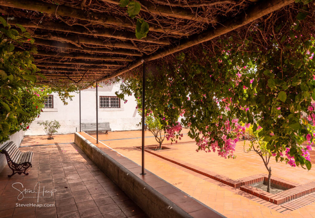 Cloisters and flowering trees in courtyard of Sao Vicente de Fora church in Alfama district