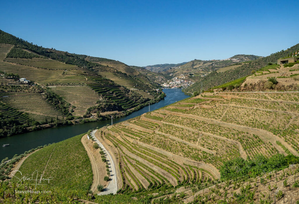 Terraces of grape vines for port wine production line the hillsides of the Douro valley near Pinhao in Portugal