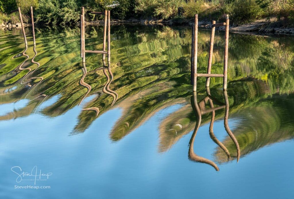 Wavy stakes and wooden poles for boat moorings and anchors reflected in calm Douro river in Portugal