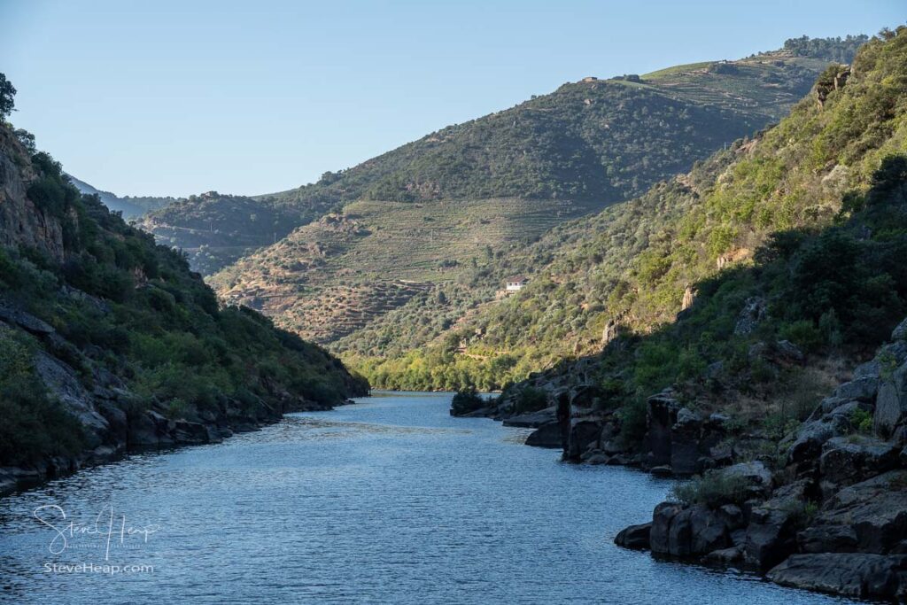 River Douro flowing through narrow gorge with terraces of wines and vineyards on the banks in Portugal near Pinhao