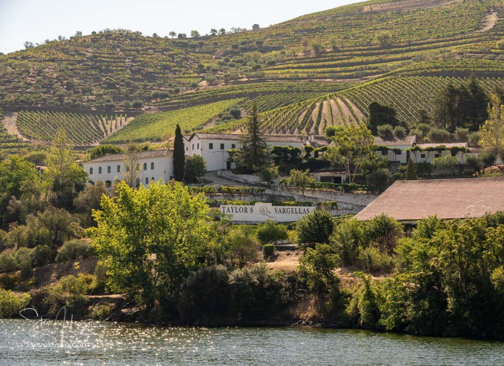 Taylor's port wine vineyards line the hillsides of the river Douro in Portugal