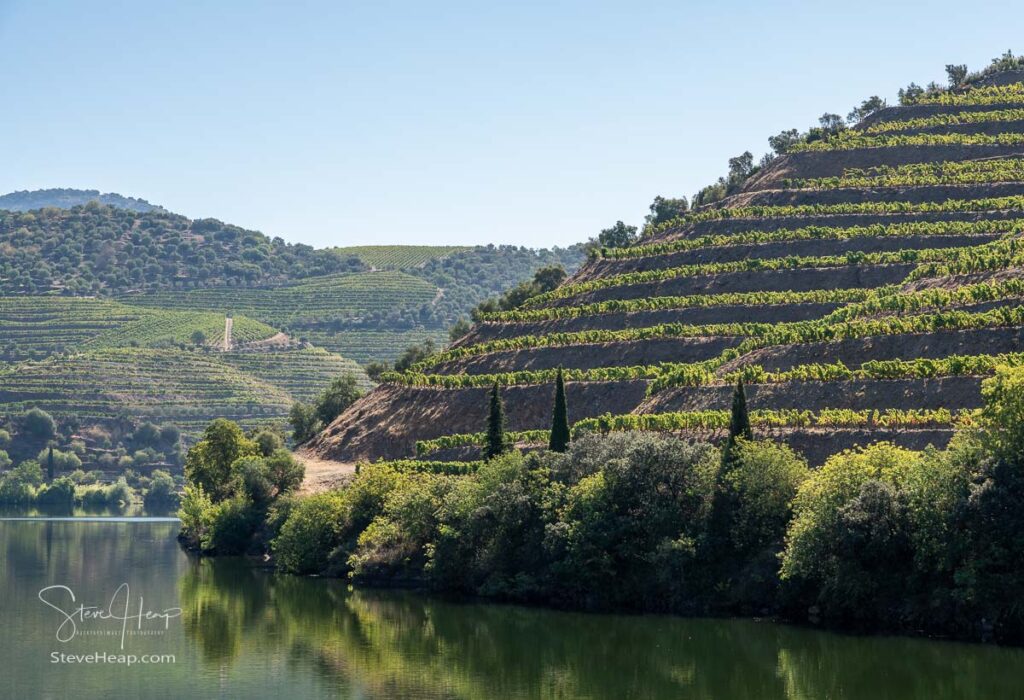 Vineyards line the hillsides of the river Douro in Portugal in a major port wine district