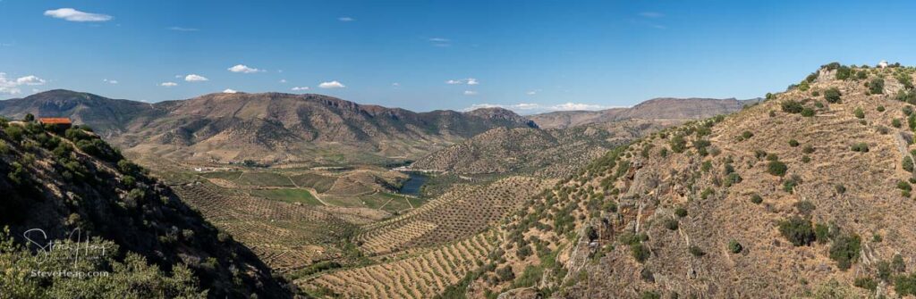 Panorama over vineyards for port wine production line the hillsides of the Douro valley at Barca de Alva in Portugal