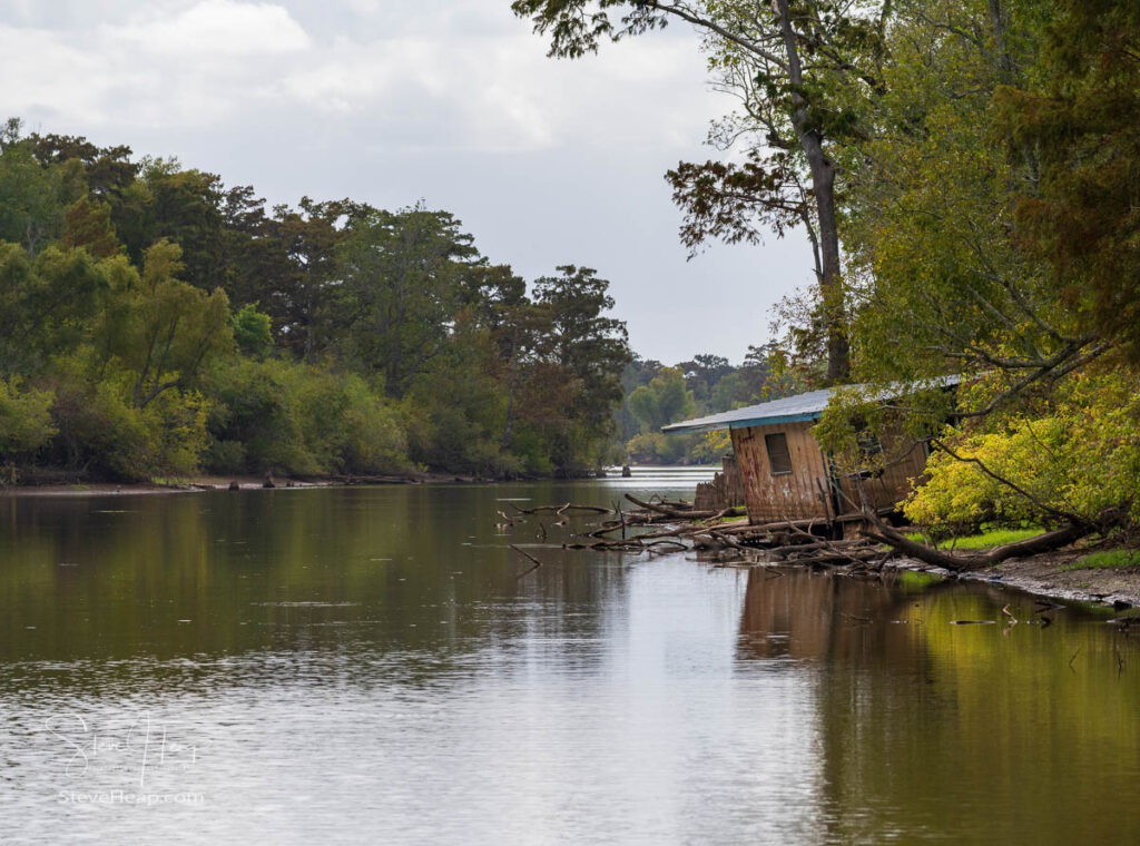 Collapsing abandoned cabin on the banks by calm waters of the bayou of Atchafalaya Basin near Baton Rouge Louisiana