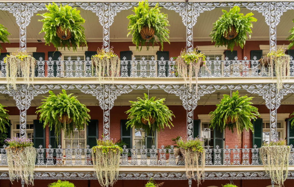 Hanging baskets on traditional New Orleans building known as the LaBranche house on Royal Street in the French Quarter with grey wrought iron balconies. Prints in my online store