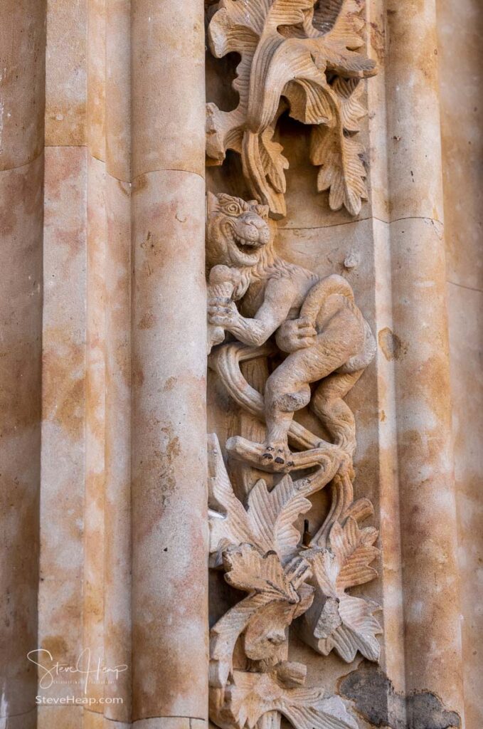 Ornate carvings including a lion with ice cream cone in the facade and entrance to the new Cathedral in Salamanca