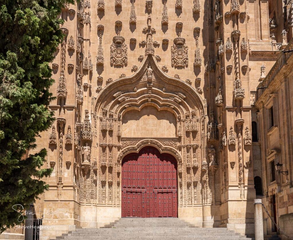 Solid wooden doors on the side entrance to the New Cathedral in Salamanca